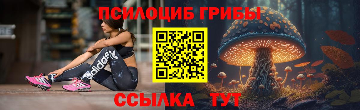 Псилоцибиновые грибы мухоморы Бутурлиновка